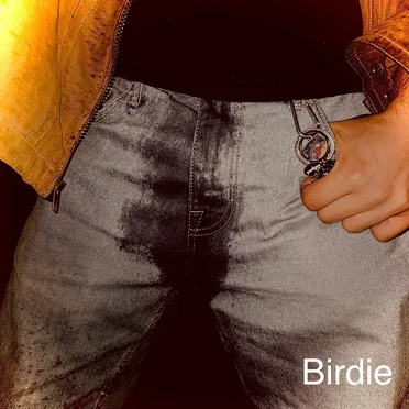 Birdie by Cesar’s Basement - album cover