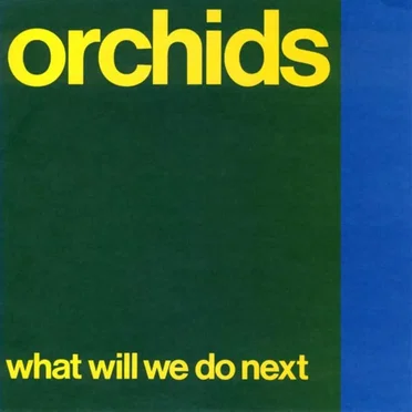 What Will We Do Next? by The Orchids - album cover