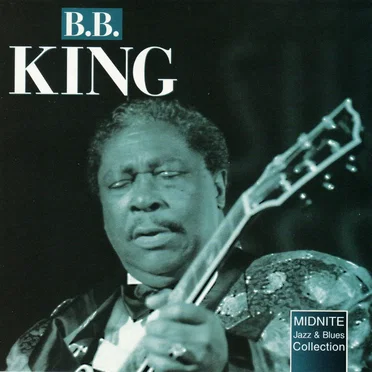 Midnite Jazz & Blues: Blues You Can Use