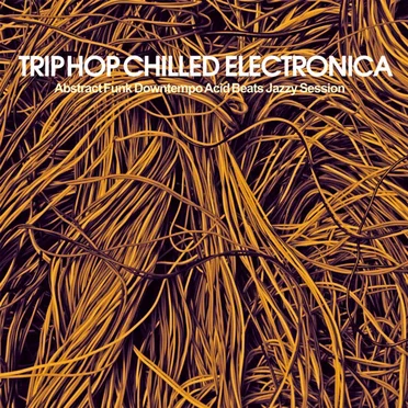 Trip Hop Chilled Electronica (Abstract Funk Downtempo Acid Beats Jazzy Session) by Various Artists - album cover
