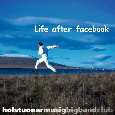 Life after Facebook by Holstuonarmusigbigbandclub - album cover