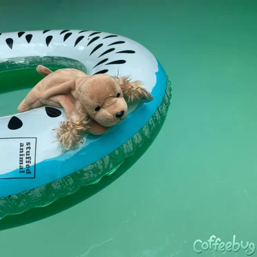 stuffed animal! by coffeebug - album cover