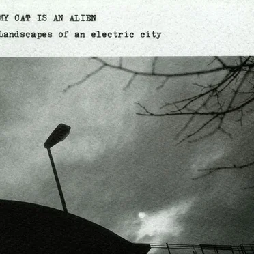 Landscapes of an Electric City