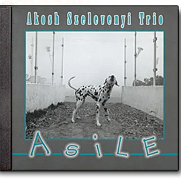 Asile