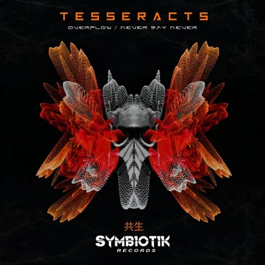 Overflow / Never Say Never