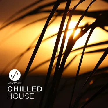 Chilled House: Laidback Chill House Vibes to Relax by Various Artists - album cover