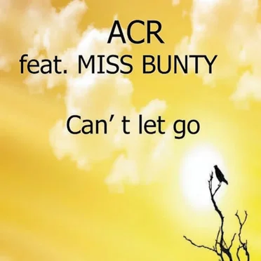 Can’t Let Go by ACR - album cover