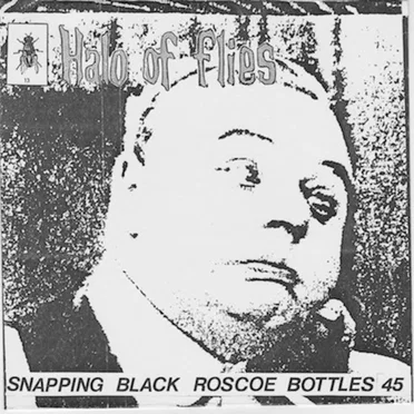 Snapping Black Roscoe Bottles by Halo of Flies - album cover