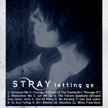 Letting Go by Stray - album cover