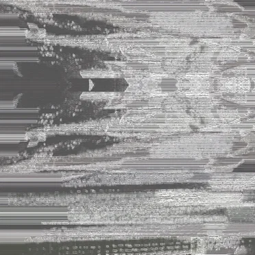 I’m Sorry We Did This to You