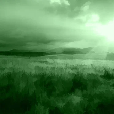 GREEN 17