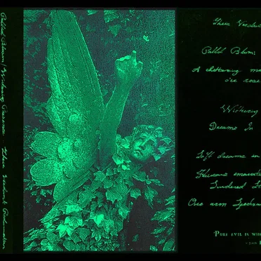 Pallid Bloom