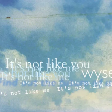 It's not like me It's not like you