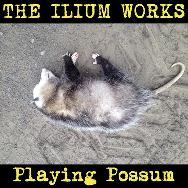 Playing Possum by The Ilium Works - album cover