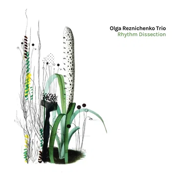 Rhythm Dissection by Olga Reznichenko Trio - album cover