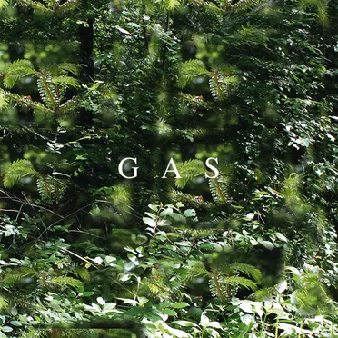 Gas