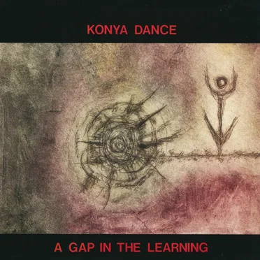 A Gap In The Learning