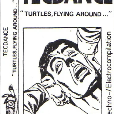 Turtles , Flying Around... (A Techno -/ Electrocompilation) by Various Artists - album cover