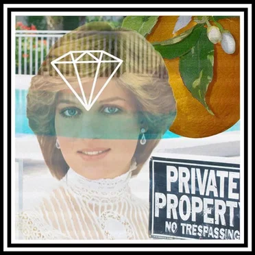 Diana Frances Goomba Wave by Maal - album cover
