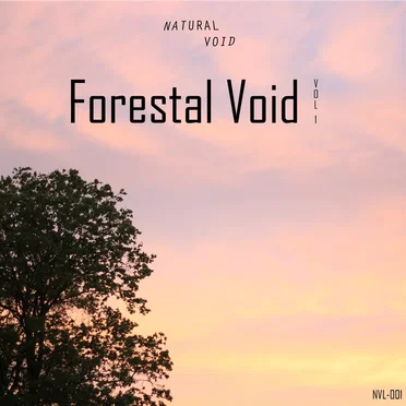 Forestal Void vol. 1 by Various Artists - album cover