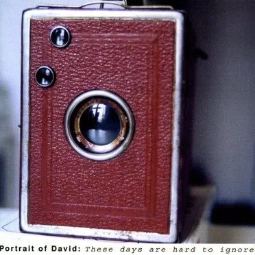 Portrait of David