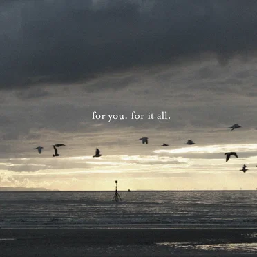 For You, For It All