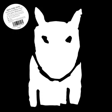 Do You Feel What I Feel