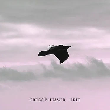 Free by Gregg Plummer - album cover