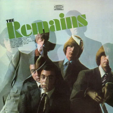The Remains by The Remains - album cover