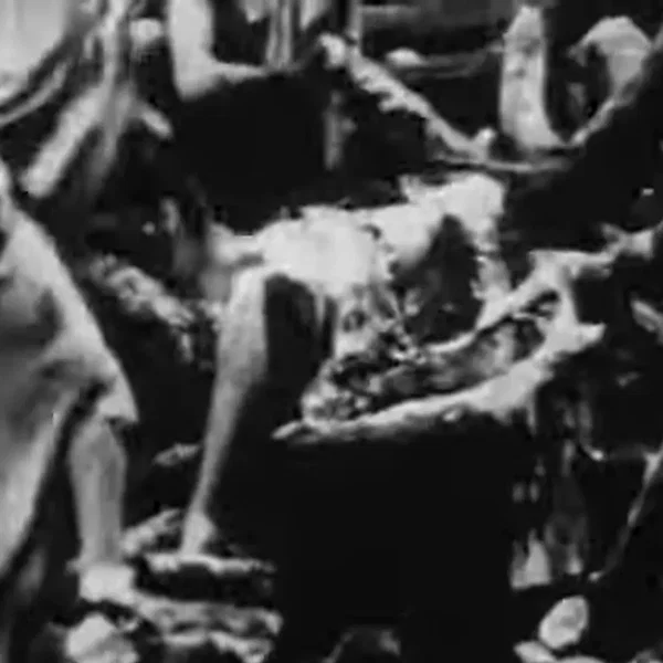 Begotten Chapter IX