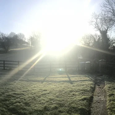 Sunshine 2