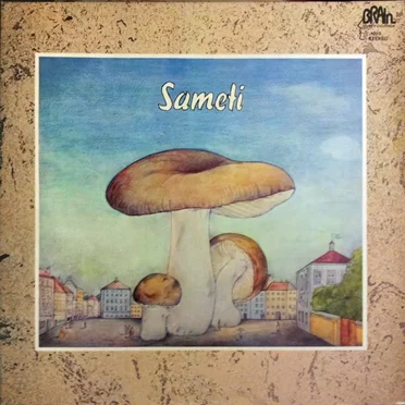 Sameti