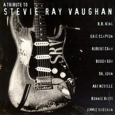 A Tribute to Stevie Ray Vaughan by Various Artists - album cover