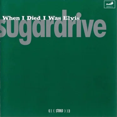 When I Died I Was Elvis