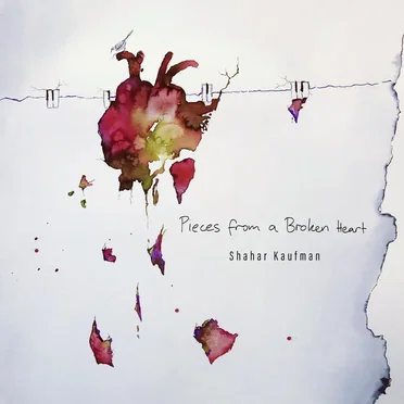 Pieces From a Broken Heart