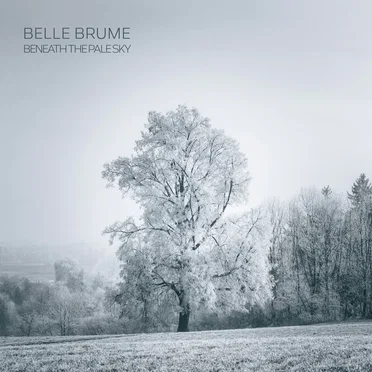 Beneath the Pale Sky