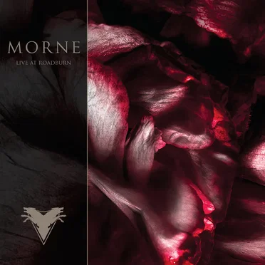 Live at Roadburn by Morne - album cover