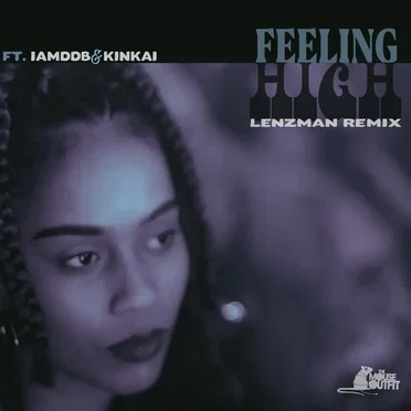 Feeling High (Lenzman remix)