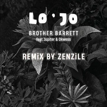 Brother Barrett (Zenzile Remix)