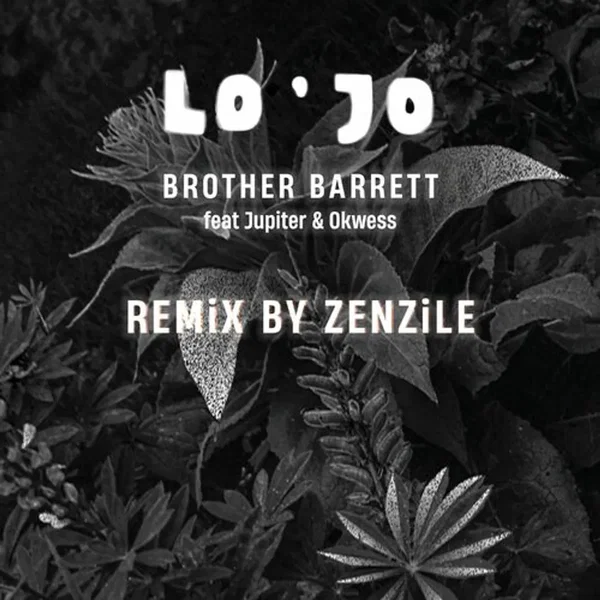 Brother Barrett (Zenzile Remix)
