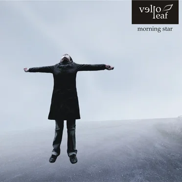Morning Star by Vello Leaf - album cover