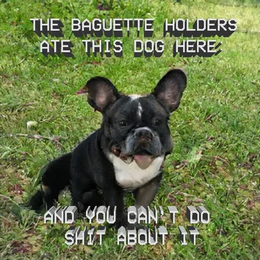 THE FRENCH ATE YOUR DAMN DOG