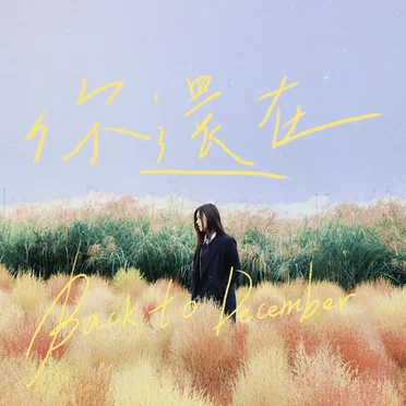 你還在（Back to December） by 許維芳Yvonne - album cover