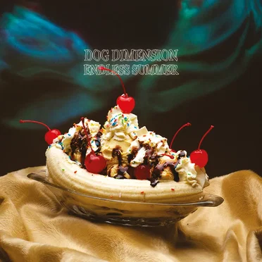 Endless Summer by Dog Dimension - album cover