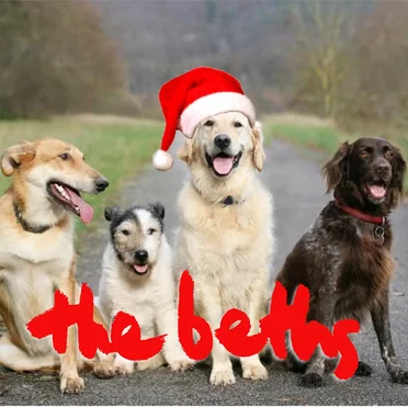 Have Yourself a Merry Little Christmas (live at Leigh Sawmill)