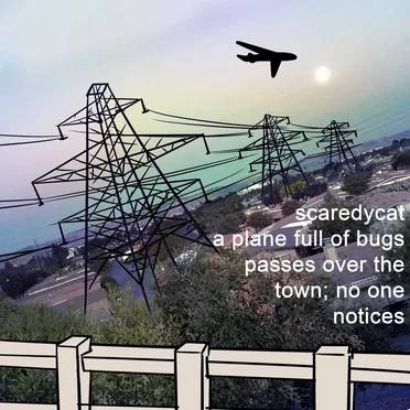 a plane full of bugs passes over the town; no one notices