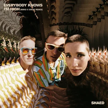 Everybody Knows I’m High (NIIKO X SWAE remix)