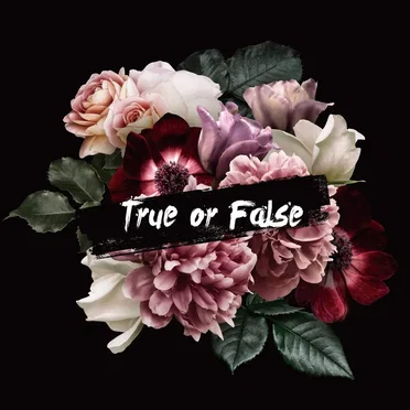 True or False by ES-TRUS - album cover