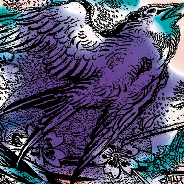One Swallow Doesn't Make A Summer Part 3 by Various Artists - album cover