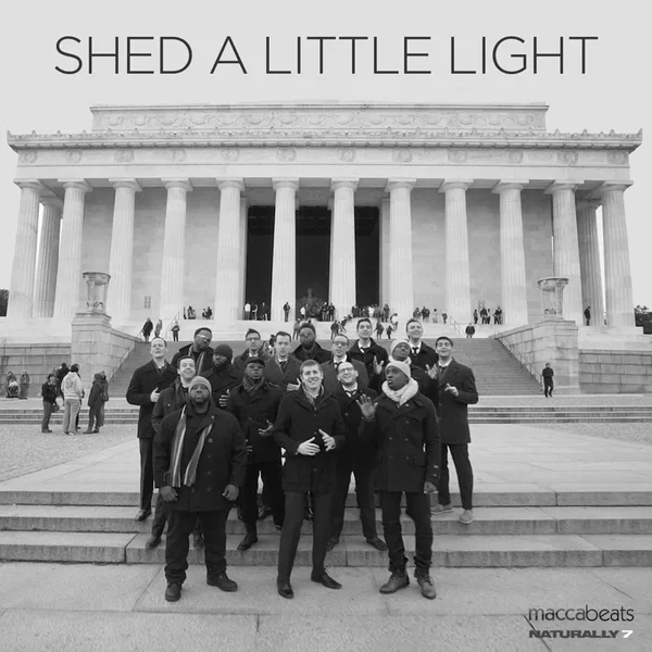 Shed a Little Light